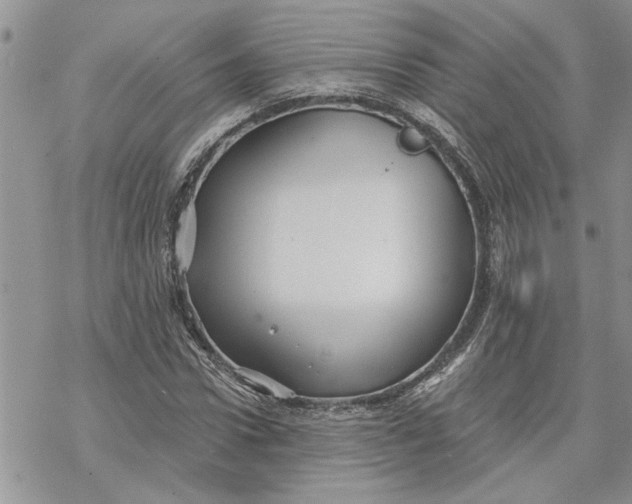 X0000069830922200606091442