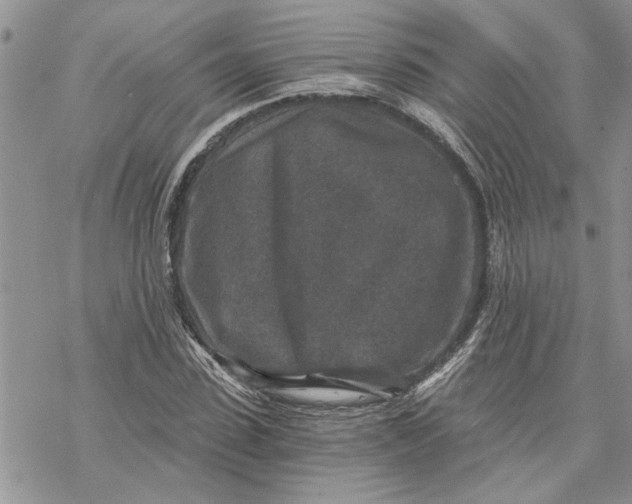 X0000069830923200606091442