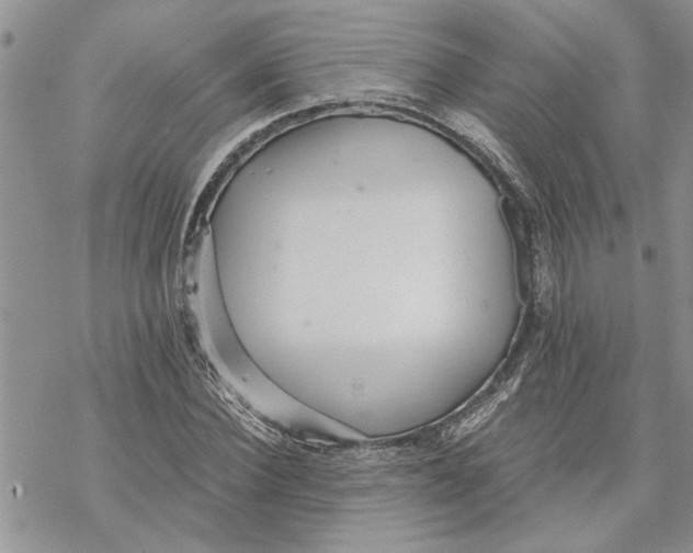 X0000069830924200606091442