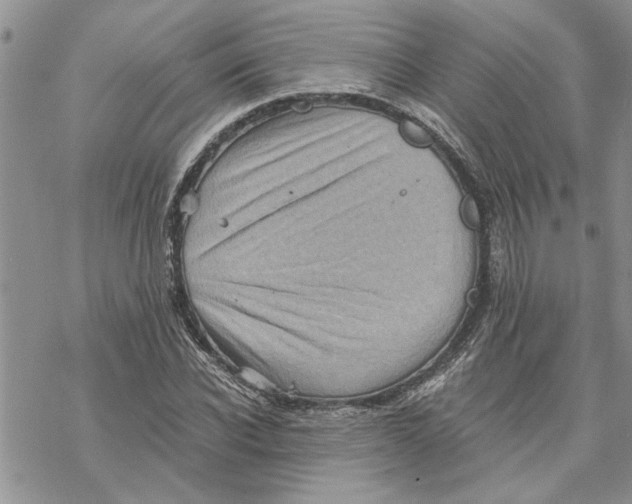 X0000069830926200606091442