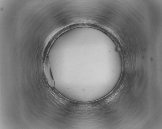 X0000069830927200606091442