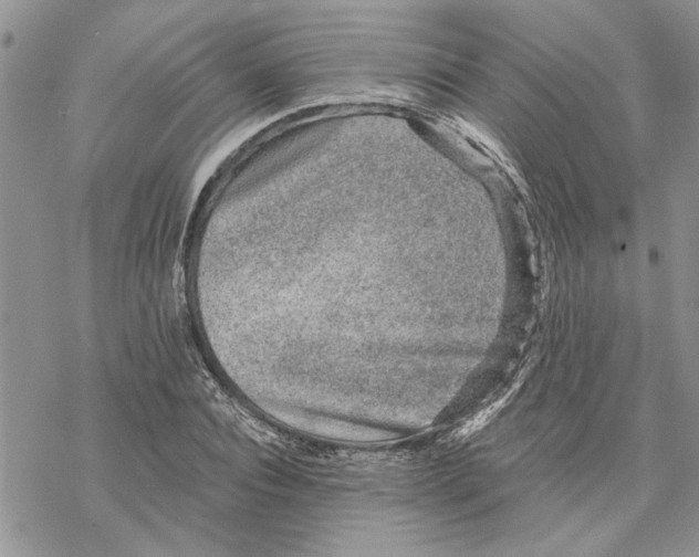 X0000069830928200606091442