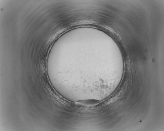 X0000069830929200606091442