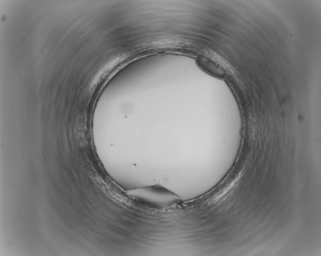 X0000069830930200606091442