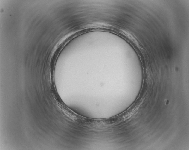 X0000069830931200606091442