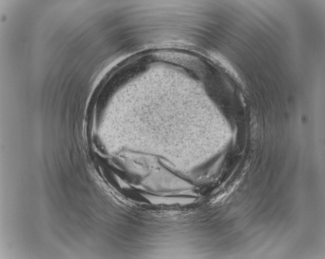 X0000069830932200606091442