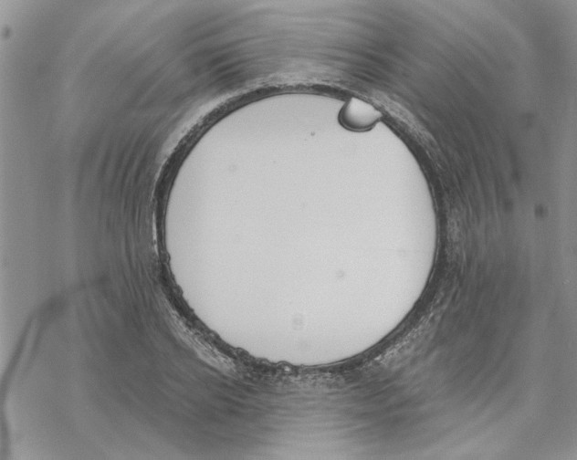 X0000069830934200606091442