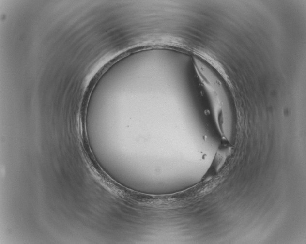 X0000069830936200606091442