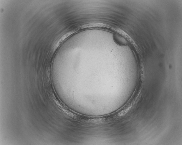 X0000069830937200606091442