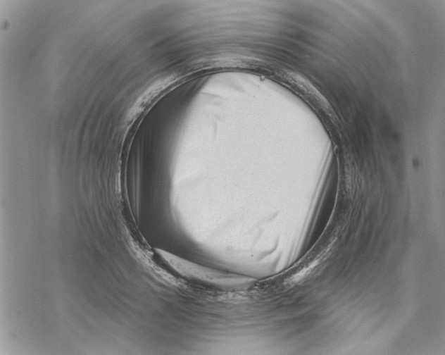 X0000069830938200606091442