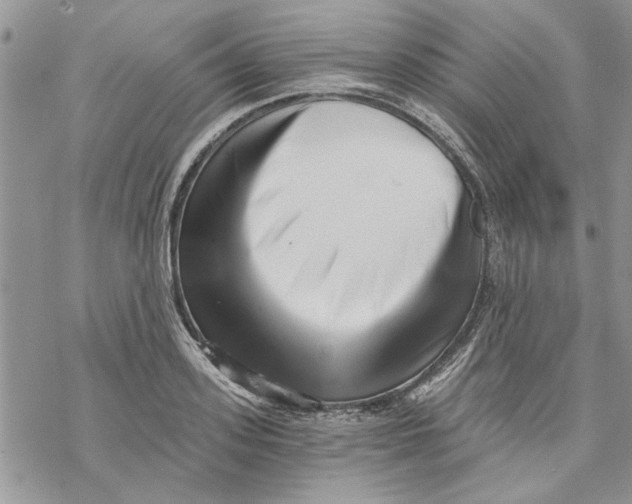 X0000069830939200606091442