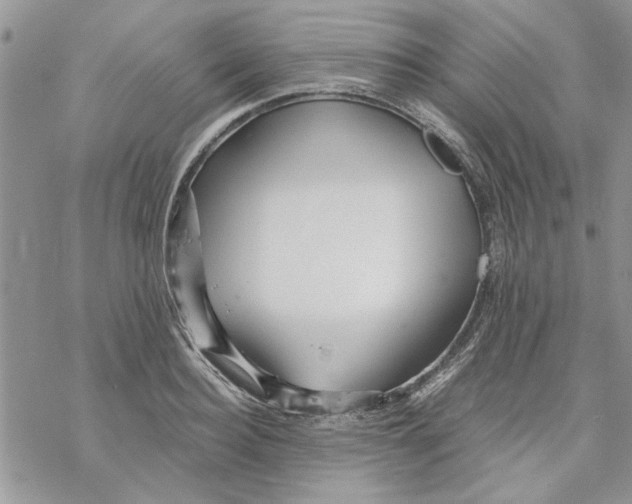 X0000069830940200606091442