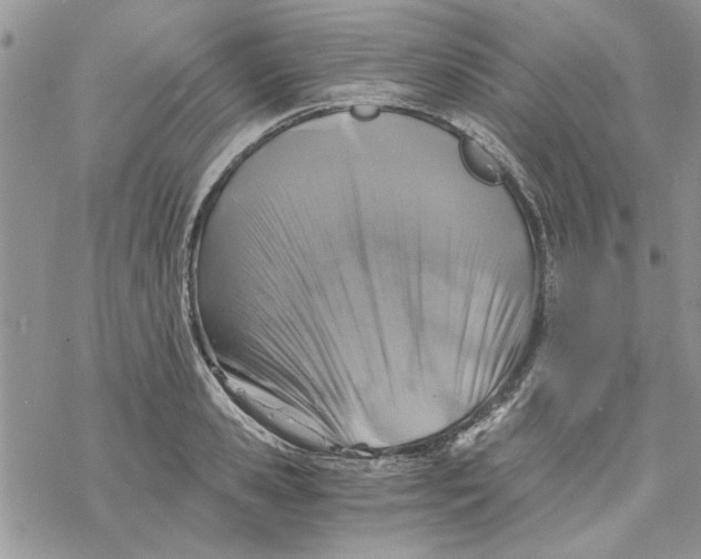 X0000069830941200606091442