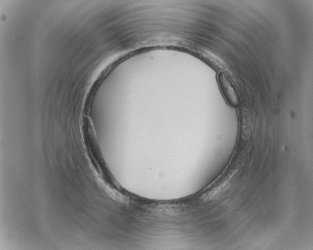 X0000069830942200606091442