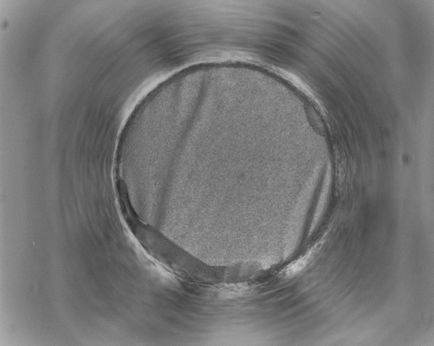 X0000069830943200606091442