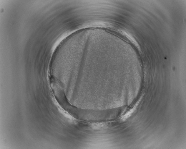 X0000069830944200606091442