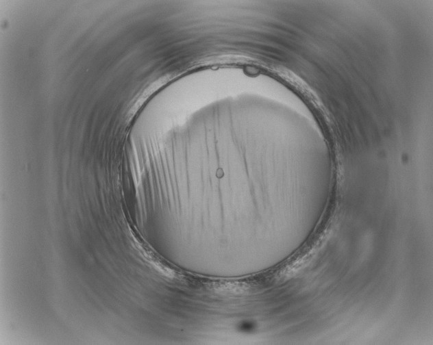 X0000069830945200606091442