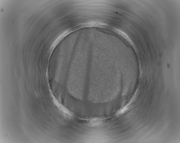 X0000069830946200606091442