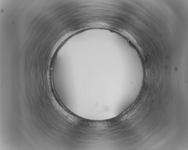 X0000069830947200606091442