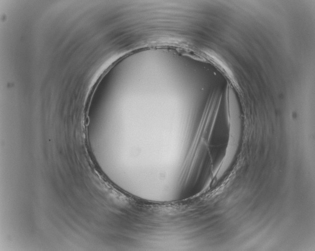 X0000069830948200606091442