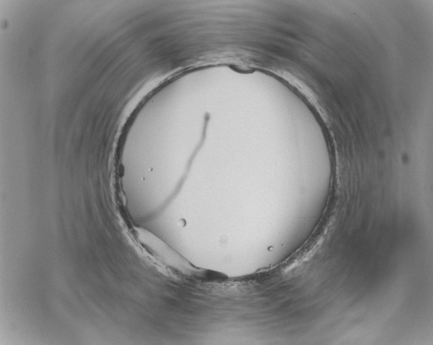 X0000069830949200606091442