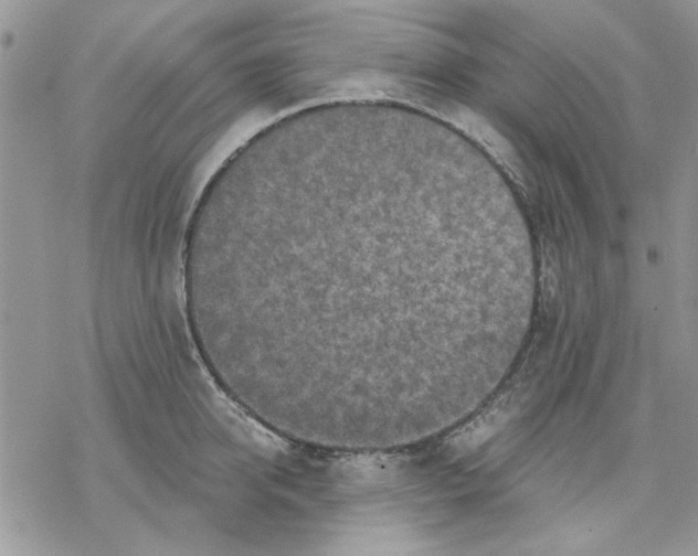 X0000069830950200606091442