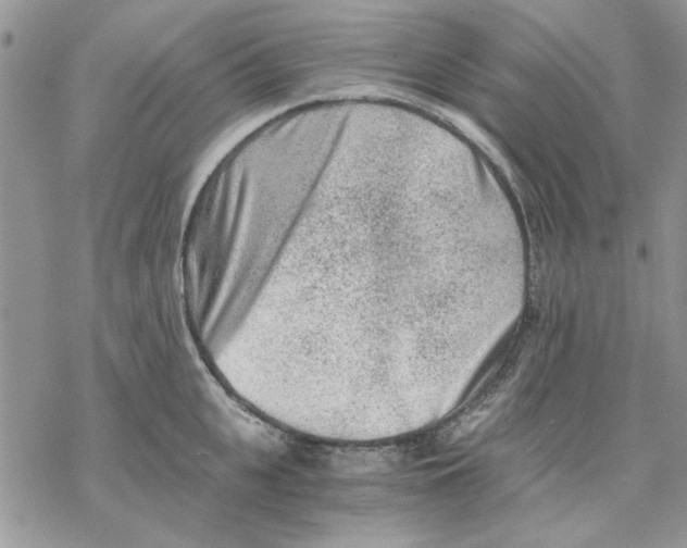 X0000069830951200606091442