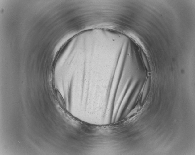 X0000069830952200606091442