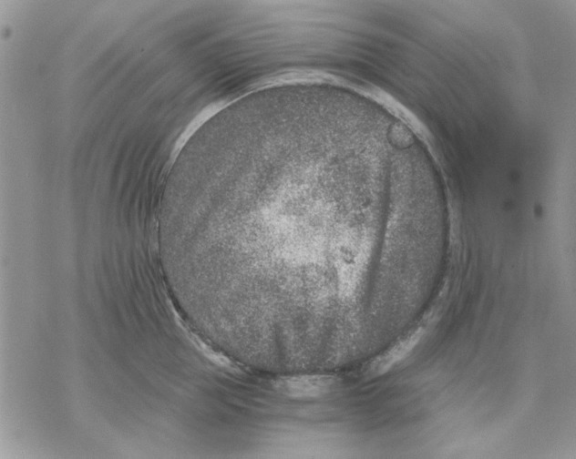 X0000069830953200606091442