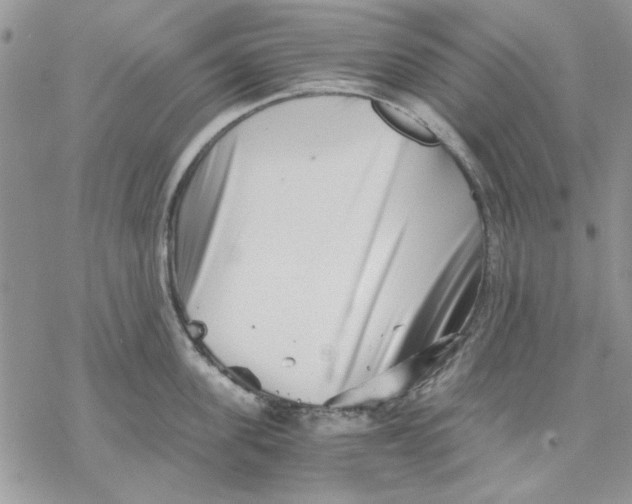 X0000069830955200606091442