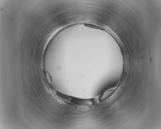 X0000069830956200606091442