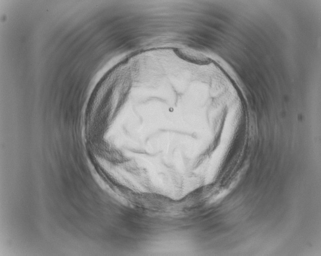 X0000069830957200606091442