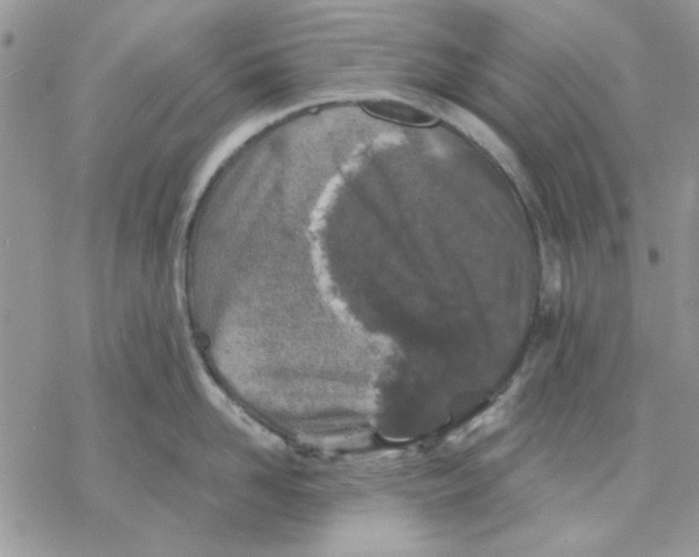 X0000069830958200606091442