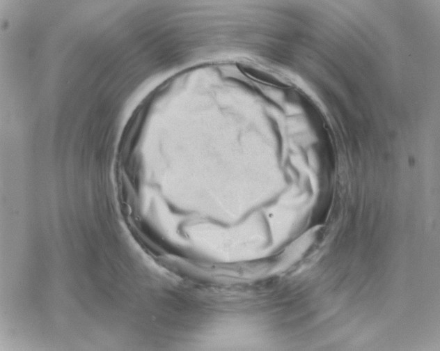 X0000069830959200606091442