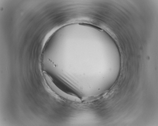 X0000069830960200606091442