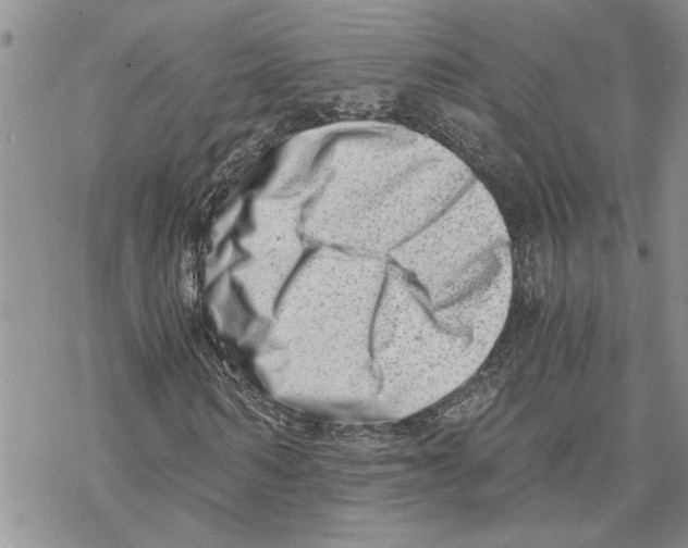 X0000069830962200606091442