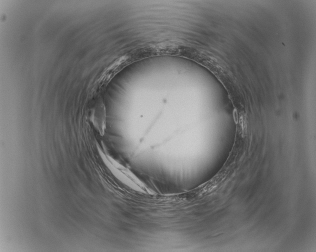 X0000069830963200606091442