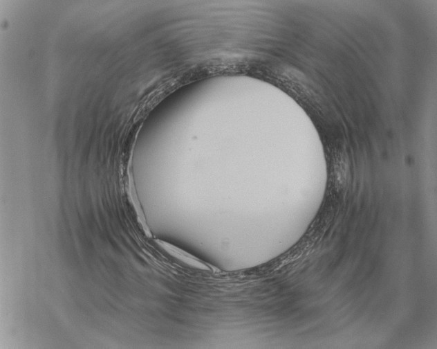 X0000069830964200606091442