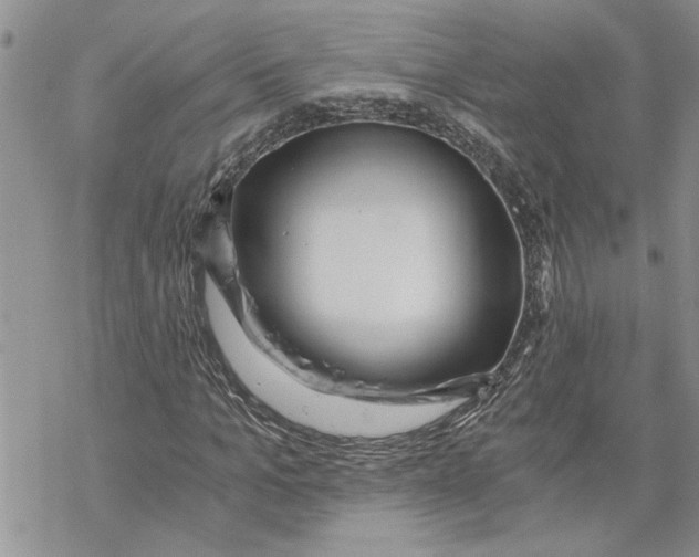 X0000069830965200606091442