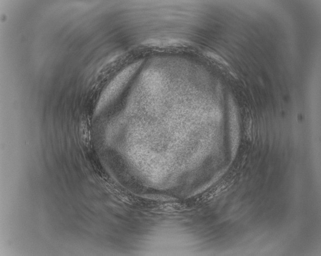 X0000069830966200606091442