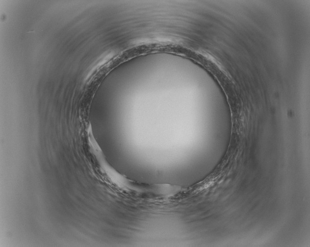 X0000069830967200606091442