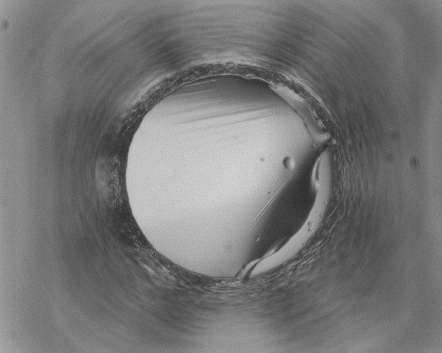 X0000069830968200606091442