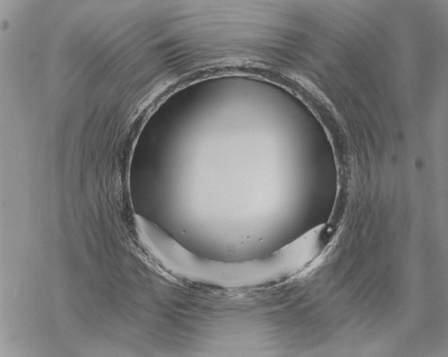 X0000069830969200606091442