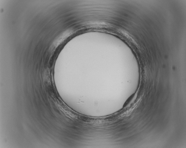 X0000069830970200606091442