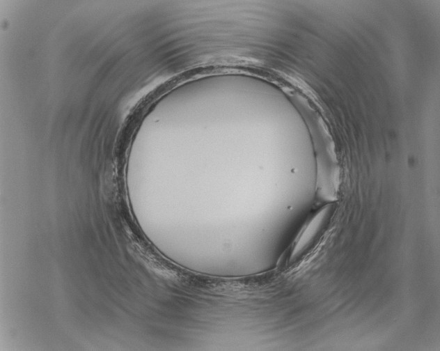 X0000069830971200606091442