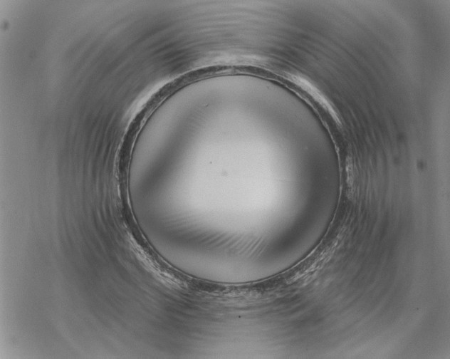 X0000069830972200606091442