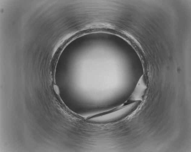 X0000069830973200606091442