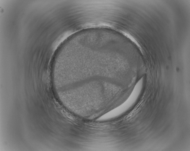 X0000069830975200606091441