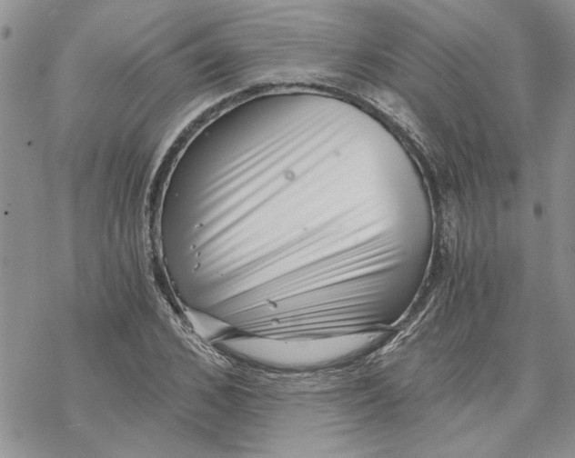 X0000069830976200606091441