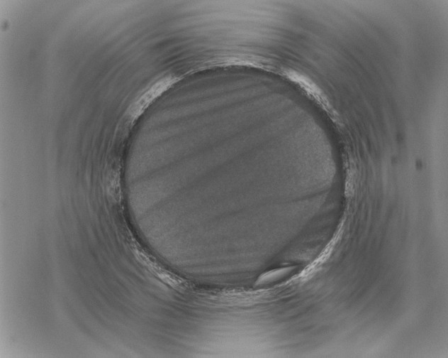 X0000069830977200606091441